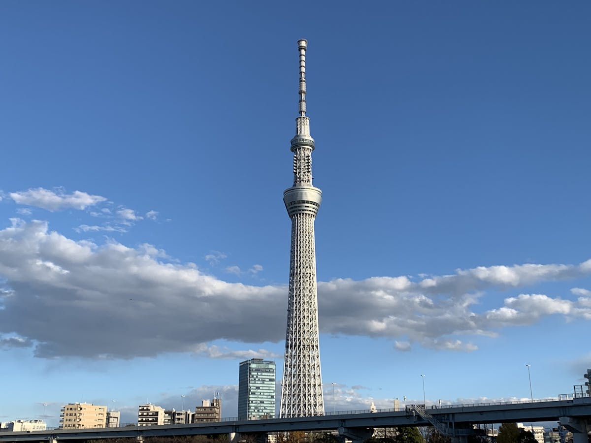Tour storico di Asakusa ed esplorazione della Skytree