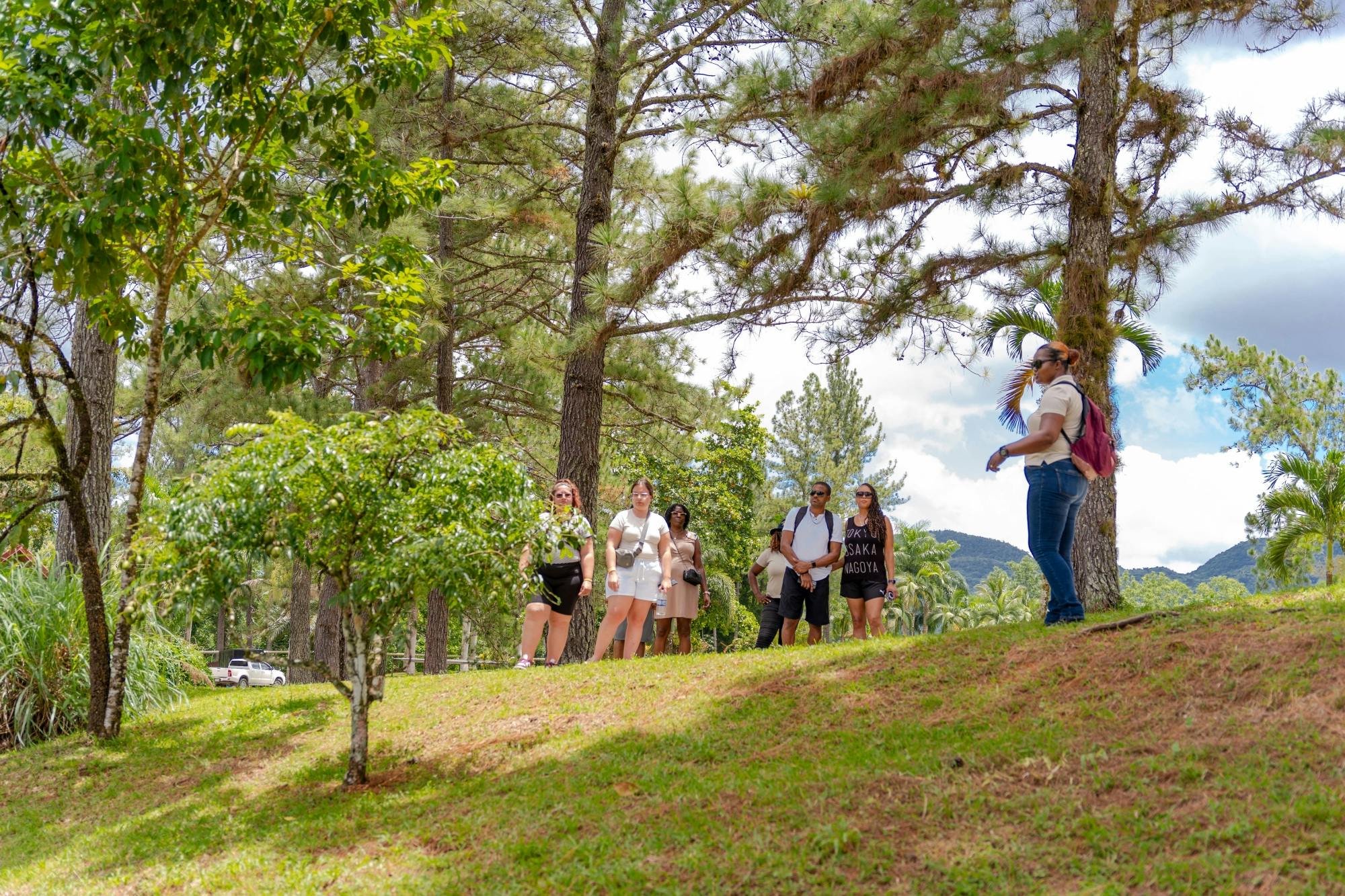 Croydon in de bergen natuurwandeling