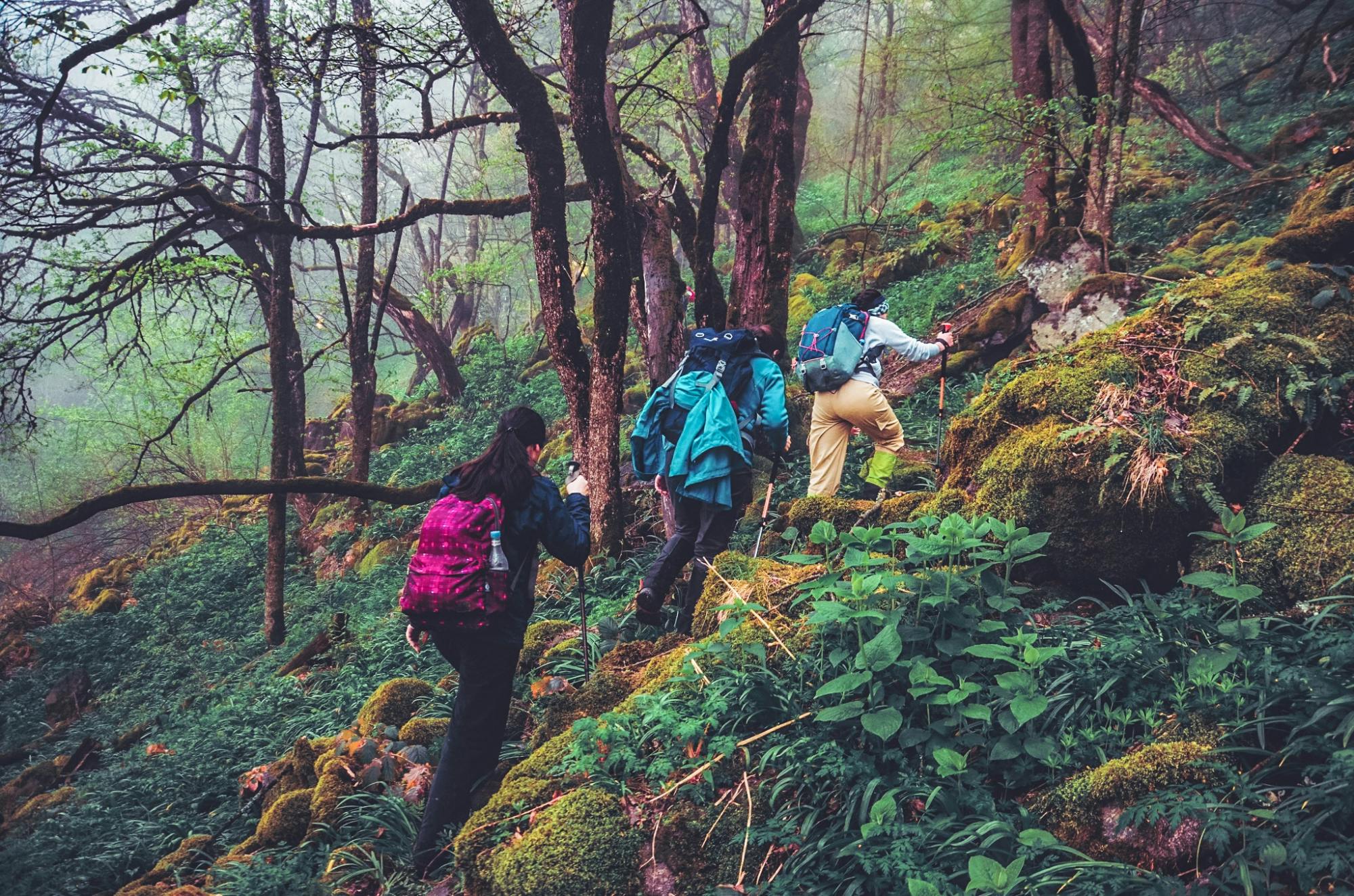 Lake Parz with Lake Gosh Hiking Experience from Yerevan