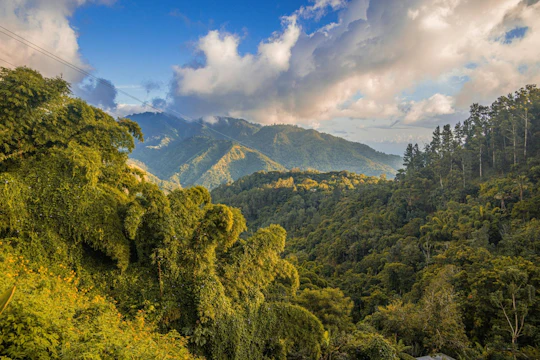 Half-Day Blue Mountain Sightseeing Private Hiking Tour