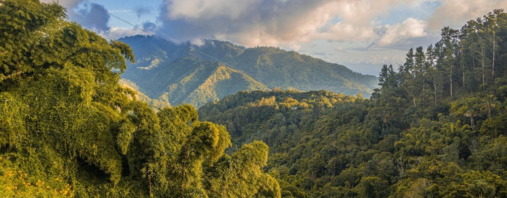 Half-Day Blue Mountain Sightseeing Private Hiking Tour
