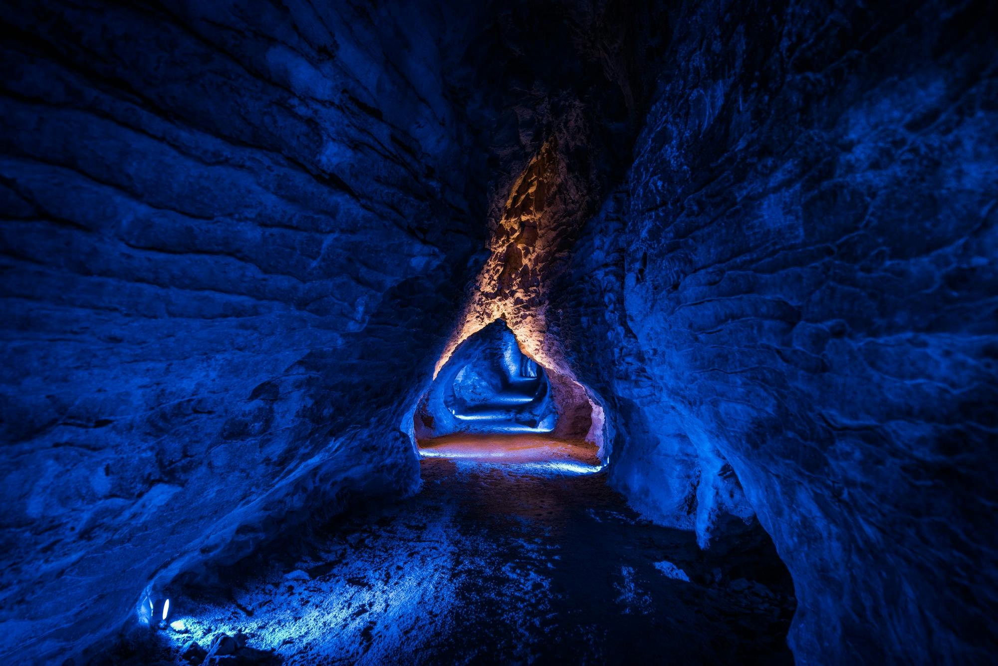 Dreifaches Höhlenerlebnis – Waitomo Glowworm, Ruakuri und Aranui Cave