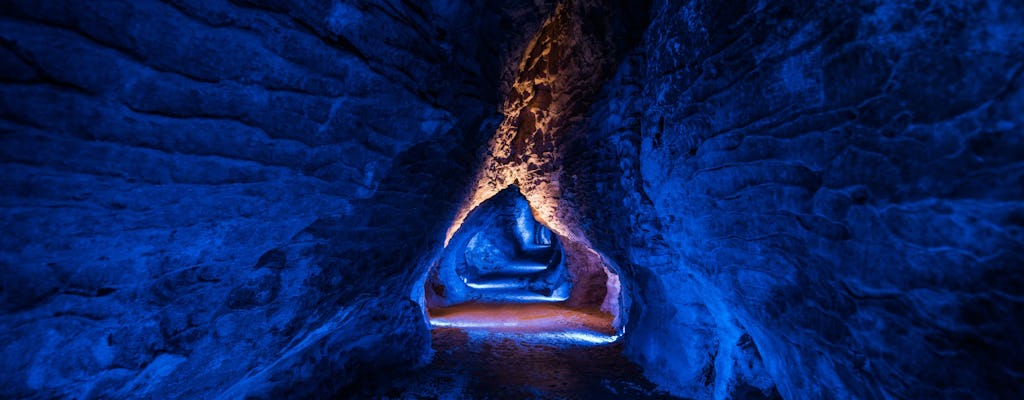 Experiencia en cueva triple: Waitomo Glowworm, Ruakuri y Aranui Cave