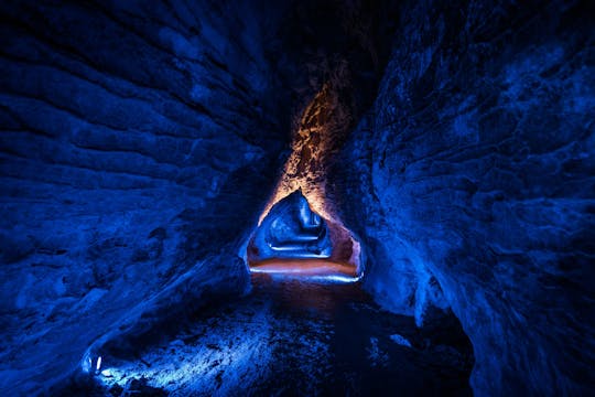Experiencia en cueva triple: Waitomo Glowworm, Ruakuri y Aranui Cave