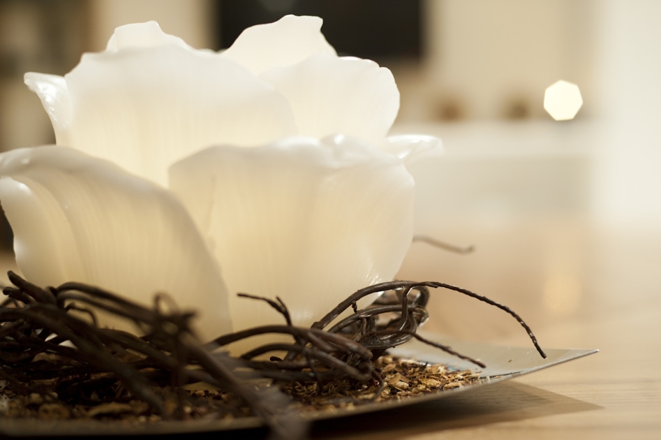 Catania Spa, Wellness & Fitness Experiences Guide