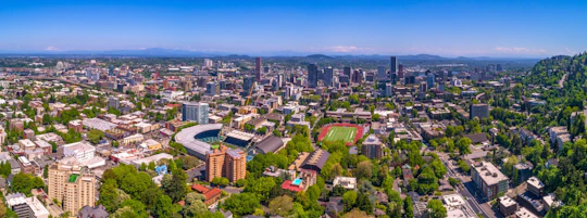 Portland Timbers Football Game at Providence Park Stadium