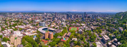 Partita di football dei Portland Timbers al Providence Park Stadium