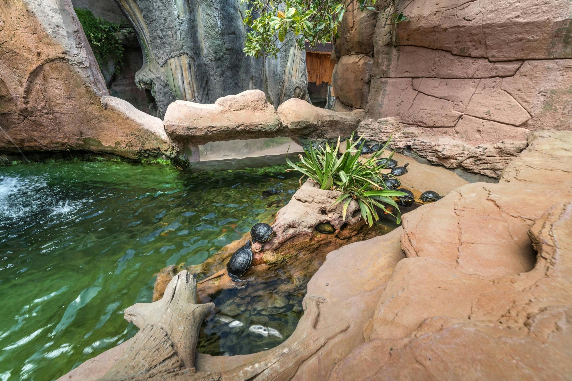 Sea Lion Interaction at Rancho Texas Park Ticket