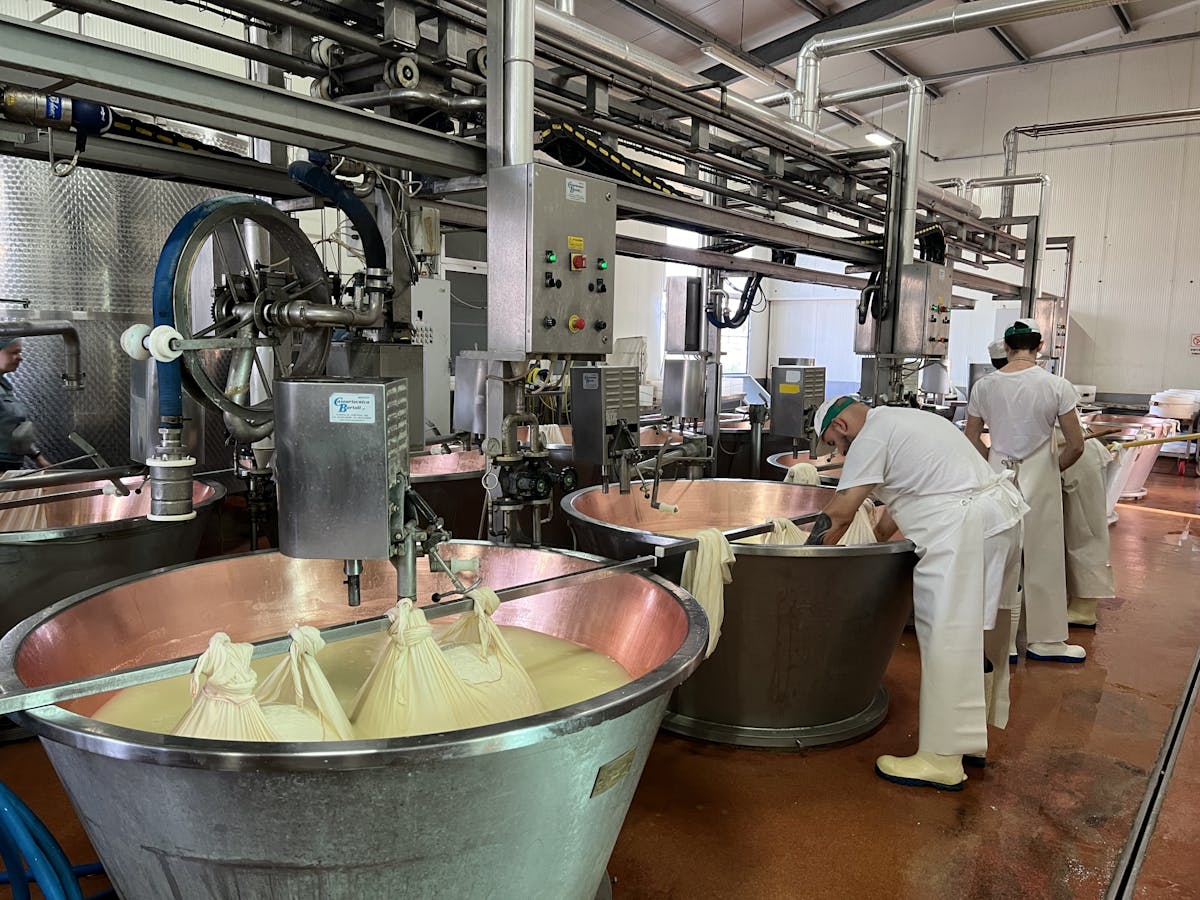 Tour di un'intera giornata al parmiggiano, vino e balsamico con pranzo da Bologna