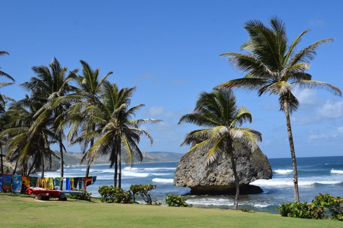 Barbados Dagtour met Harrison&apos;s Cave en St. Nicholas Abbey