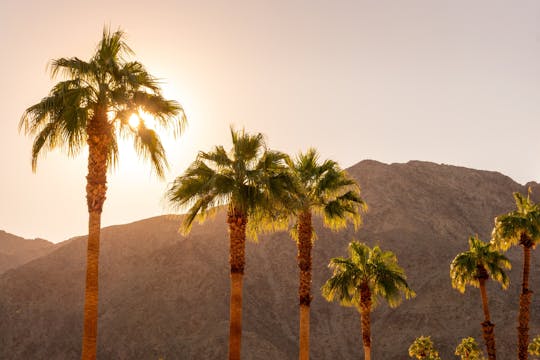 Palm Springs City en Desert app-geleide autorit