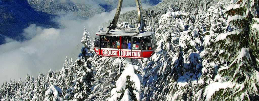 Eintrittskarte für Grouse Mountain