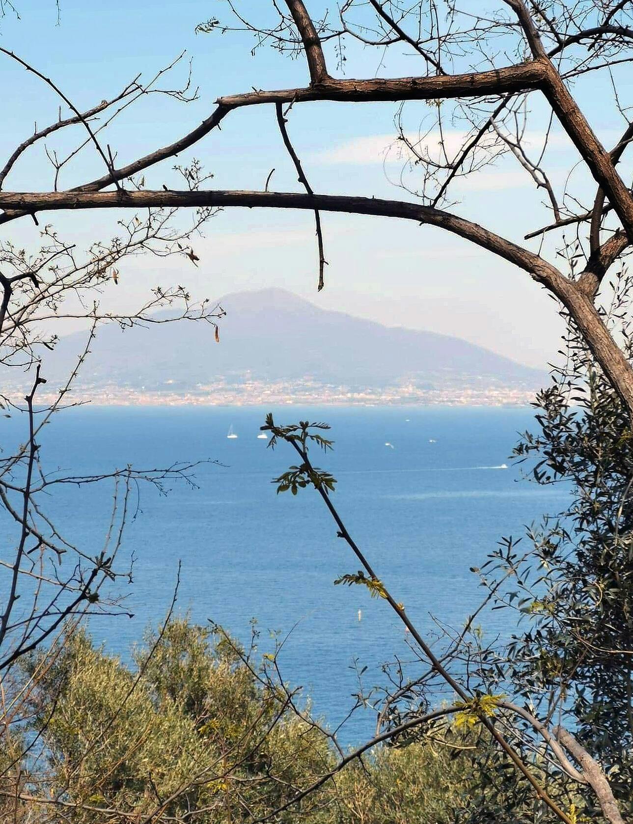 Capri Cruise from Sorrento