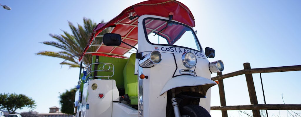 Privé tuktuktour in Costa Adeje