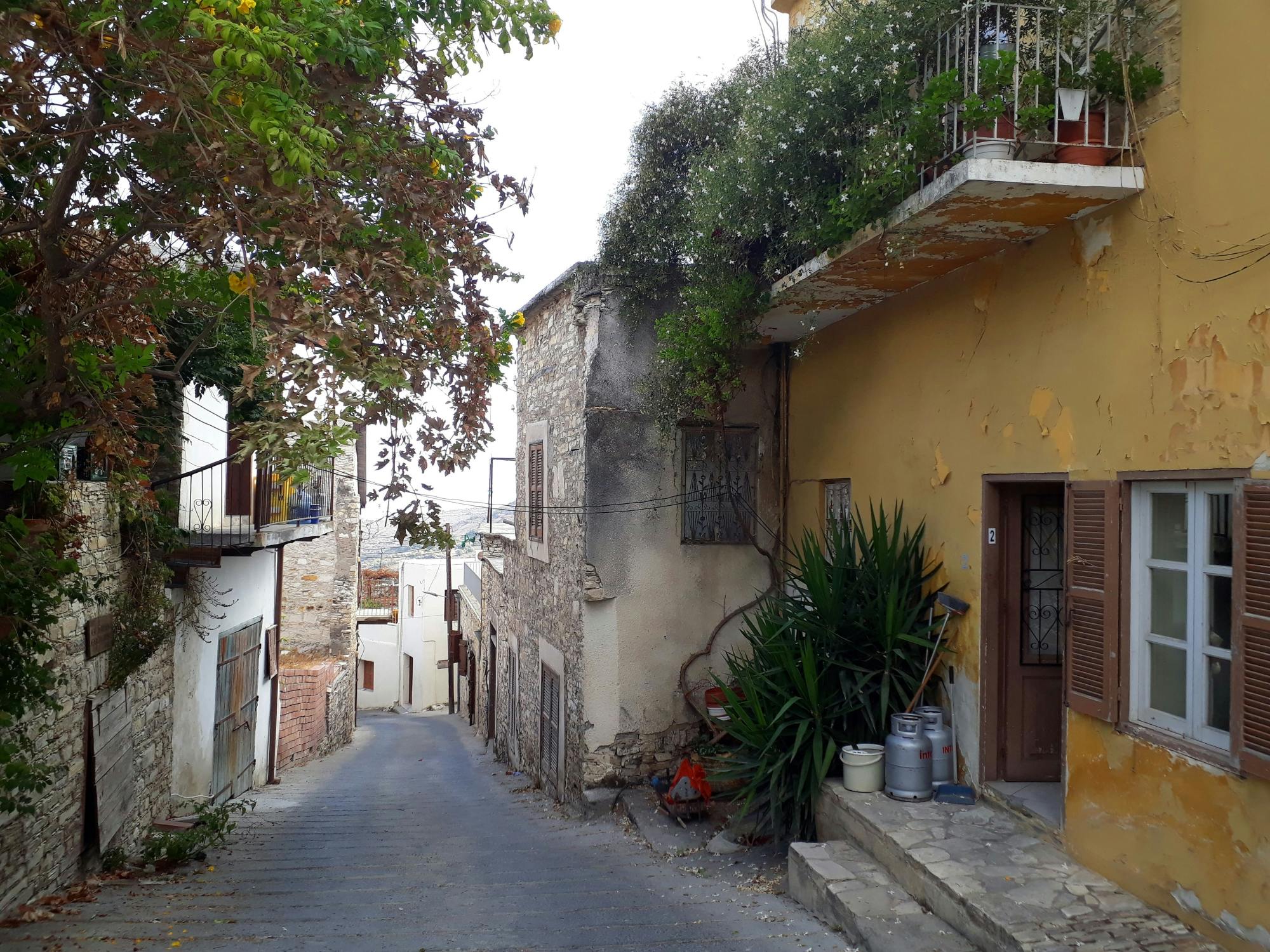 Honey, Lefkara & Traditional Basket Weaving Tour