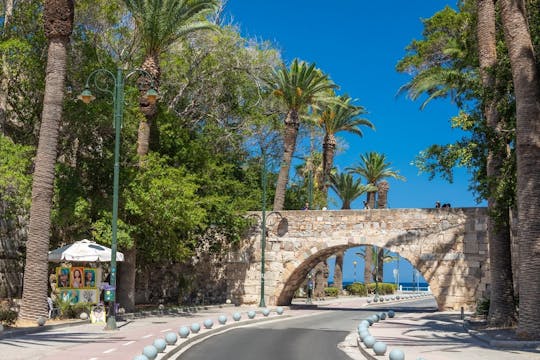 Full-Day Kos Island Guided Tour
