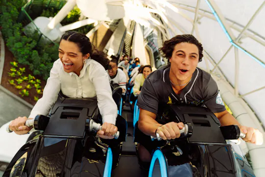Walt Disney World Resort 2-10 Tage Basis-Ticket