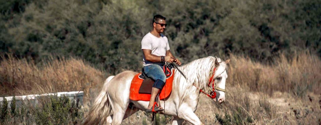 Sarigerme Paardrijden op het Platteland