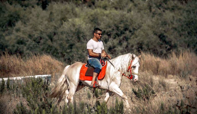 Sarigerme Horse Riding Experience