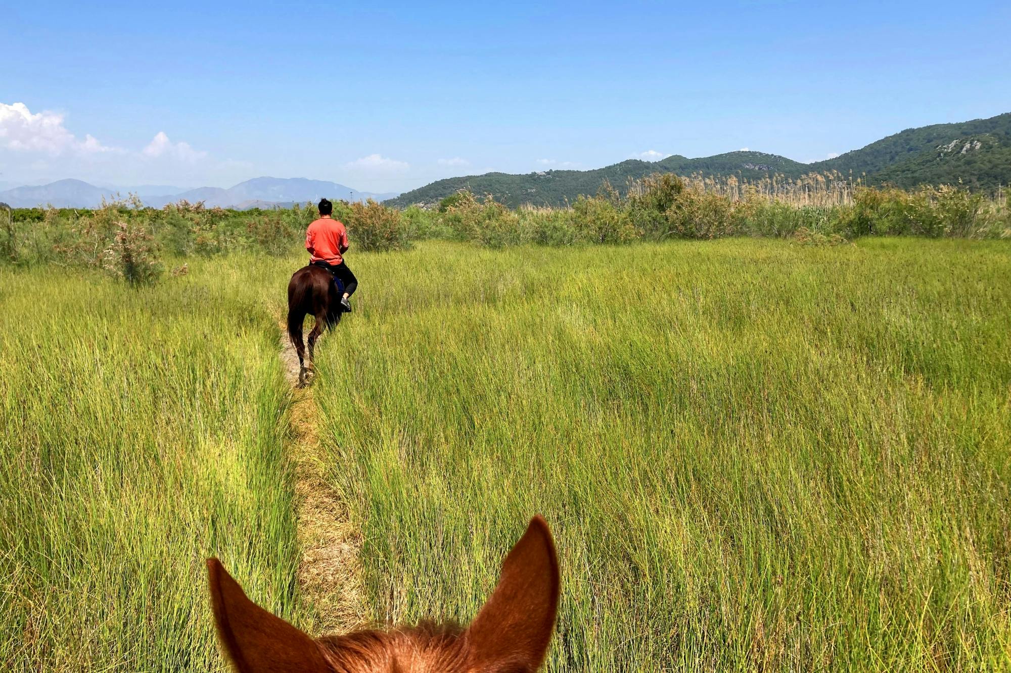 Sarigerme Horse Riding Experience