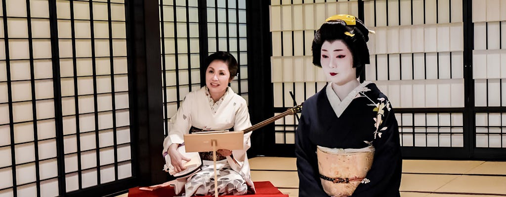 Tour gastronomico, castello di Odawara e cena con intrattenimento Geisha