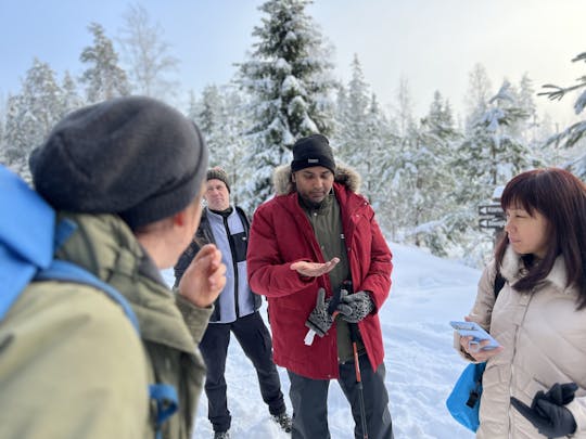 Caminata por el país de las maravillas de invierno