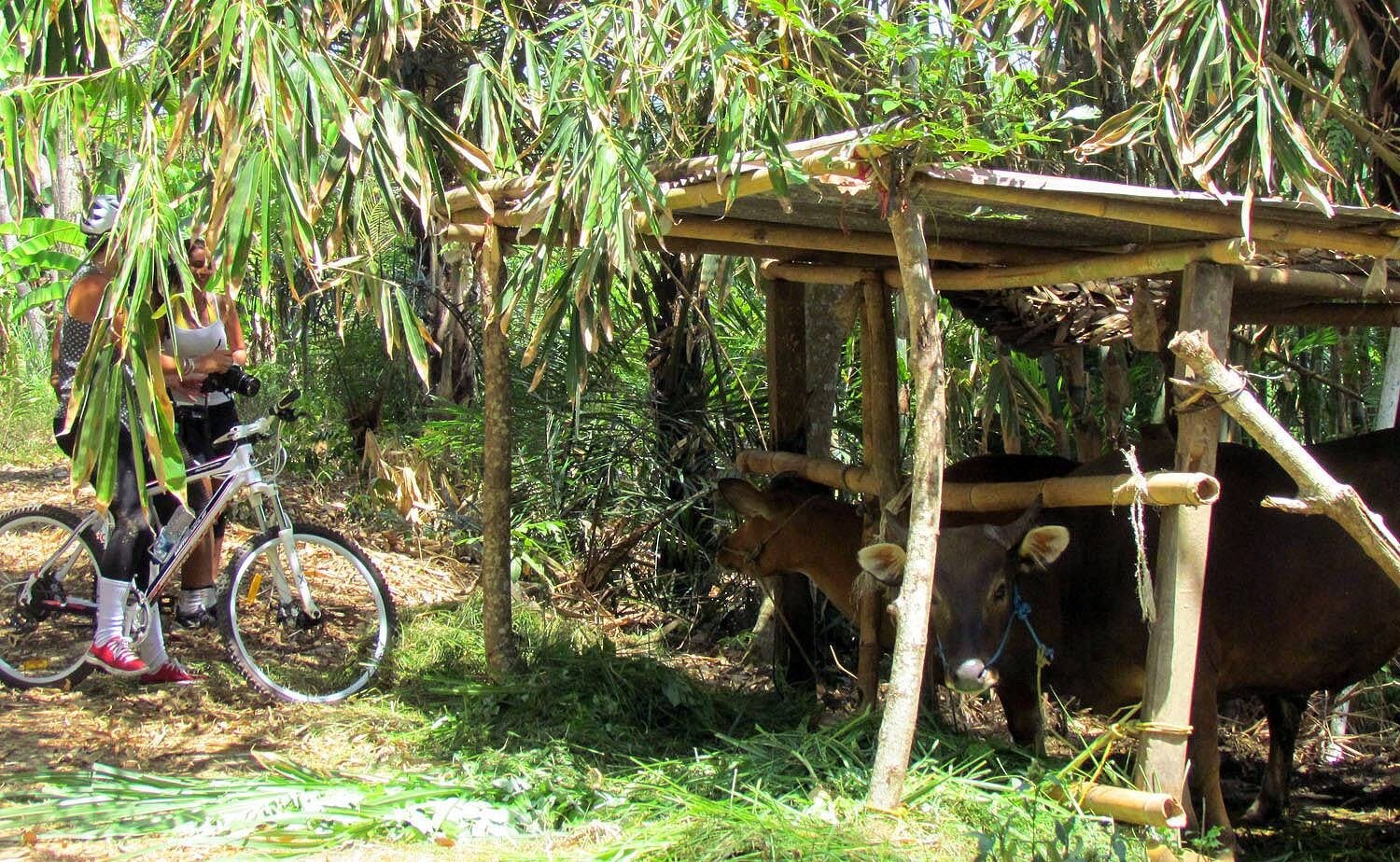 Salak Agro Countryside Cycling