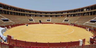 Tour dell'Arena di Alicante e Museo della corrida con audioguida