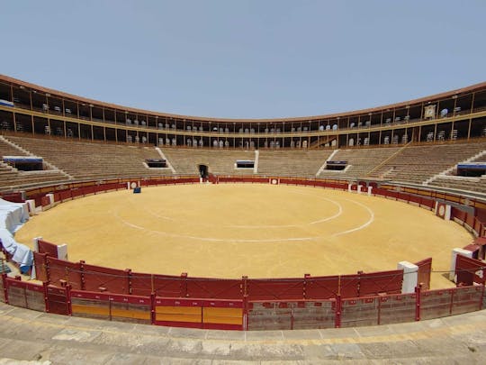 Wycieczka do Alicante Arena walk byków i Muzeum Walek Byków z audioprzewodnikiem