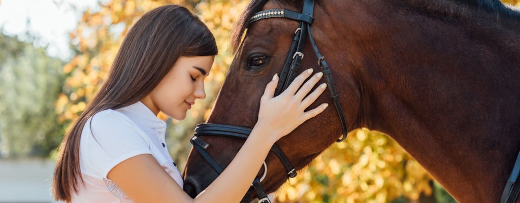 Esperienza del cavallo equestre con cura, apprendimento e dressage