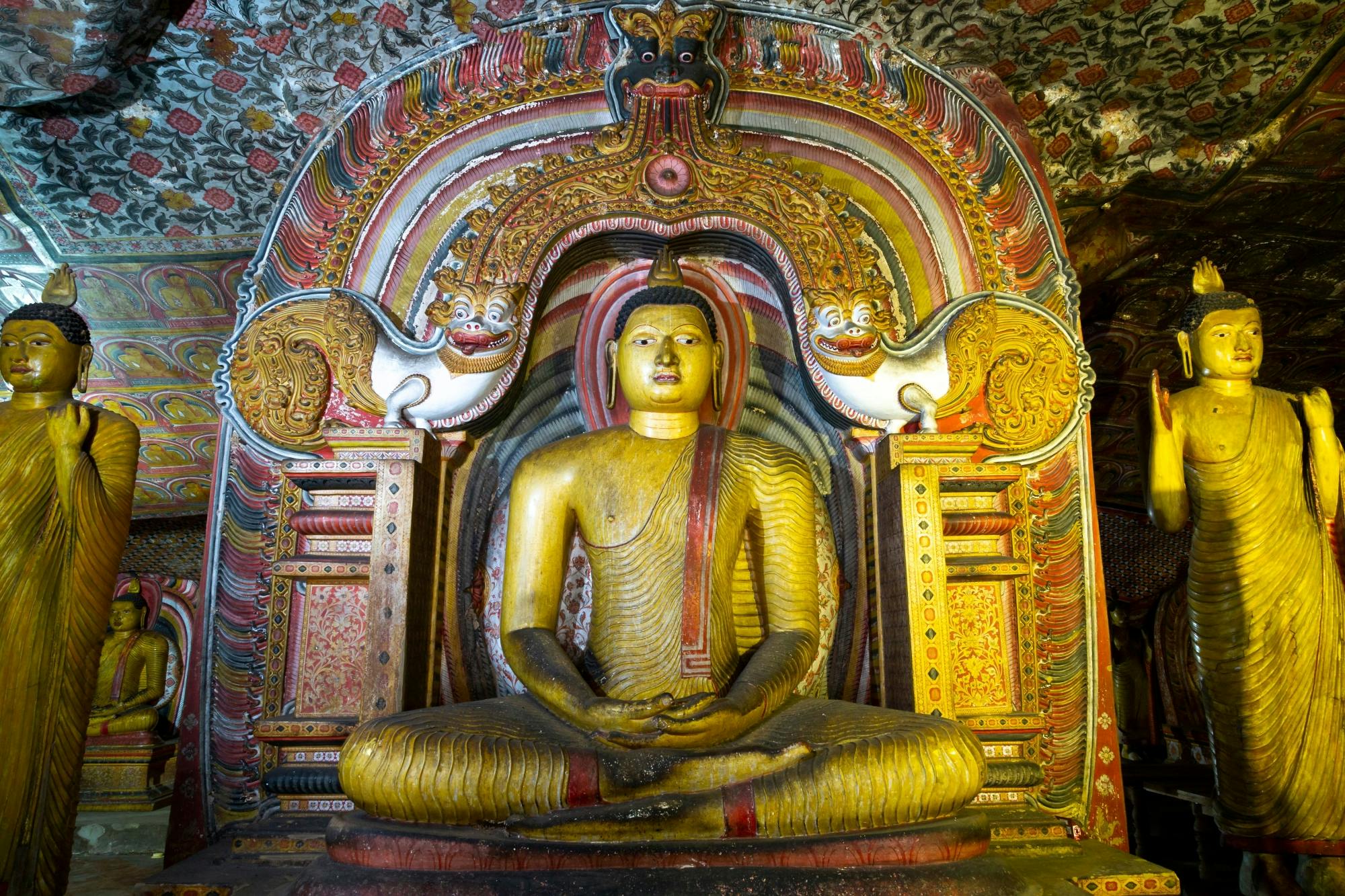 Dambulla Cave Temple and Pidurangala Rock Tour