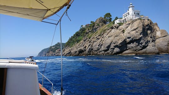 Passeio de barco privado pelo Parque Marinho Tigullio e Portofino