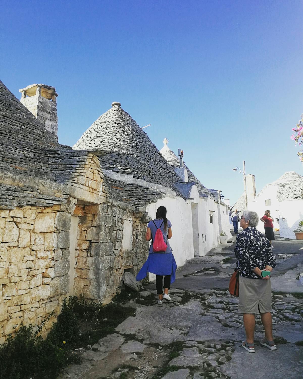 Visita guidata a piedi di Alberobello