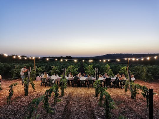 Kolacja w winnicy z parowaniem win w Valle d'Itria