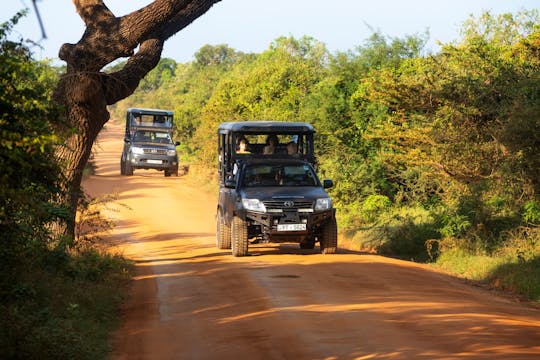 Yala Nationalpark på tur i firehjulstrækker med en lokal guide