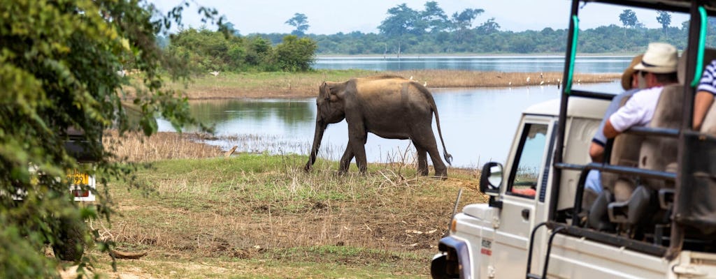 Safari en 4x4 dans le parc national d'Uda Walawe et le Elephant Transit Home