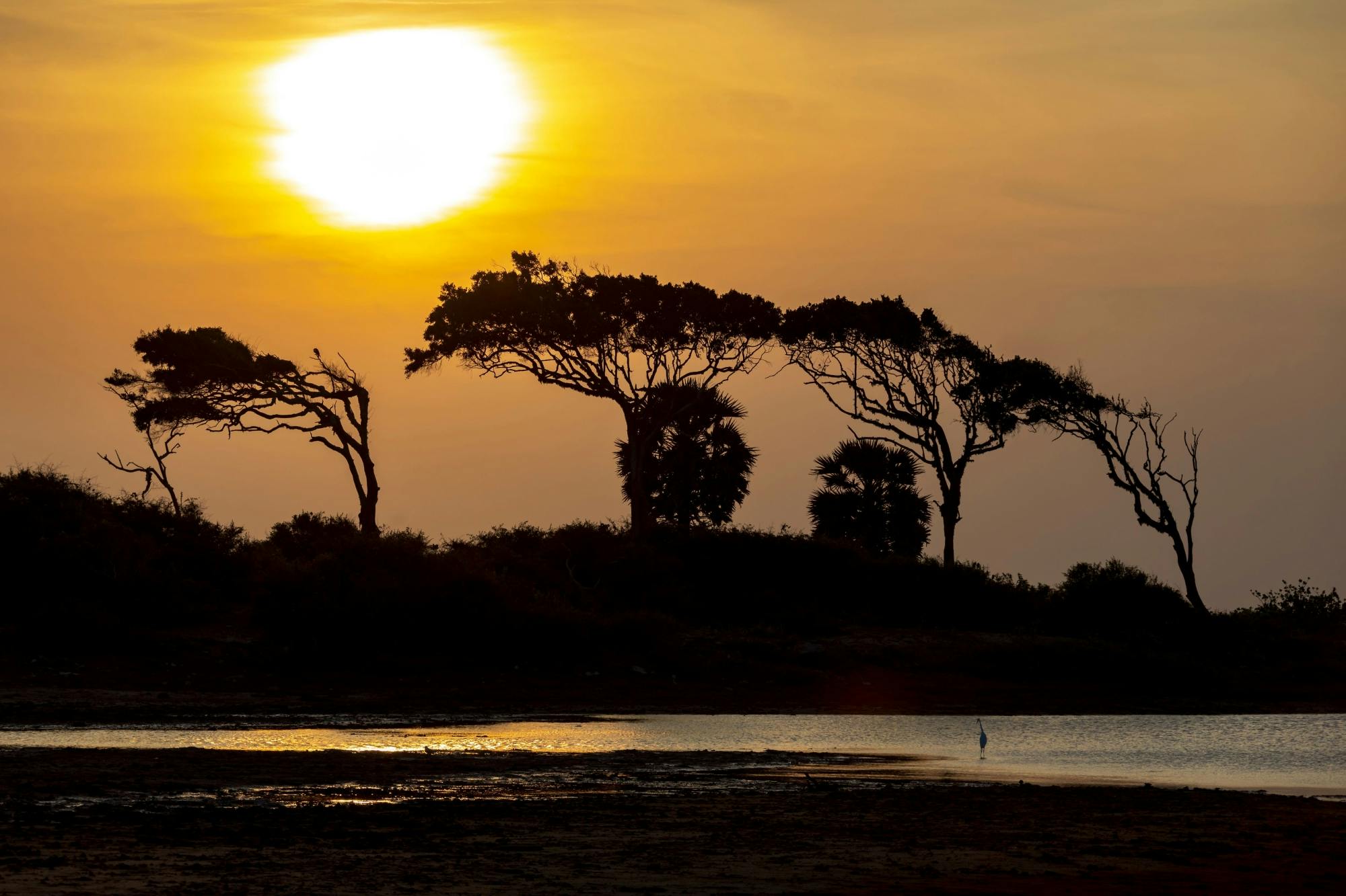 Yala National Park 4x4 Safari with a Local Guide