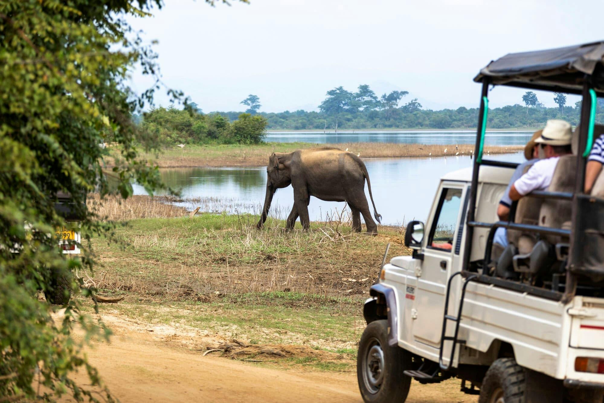 Safari en 4x4 con elefantes en el Parque Nacional Udawalawe