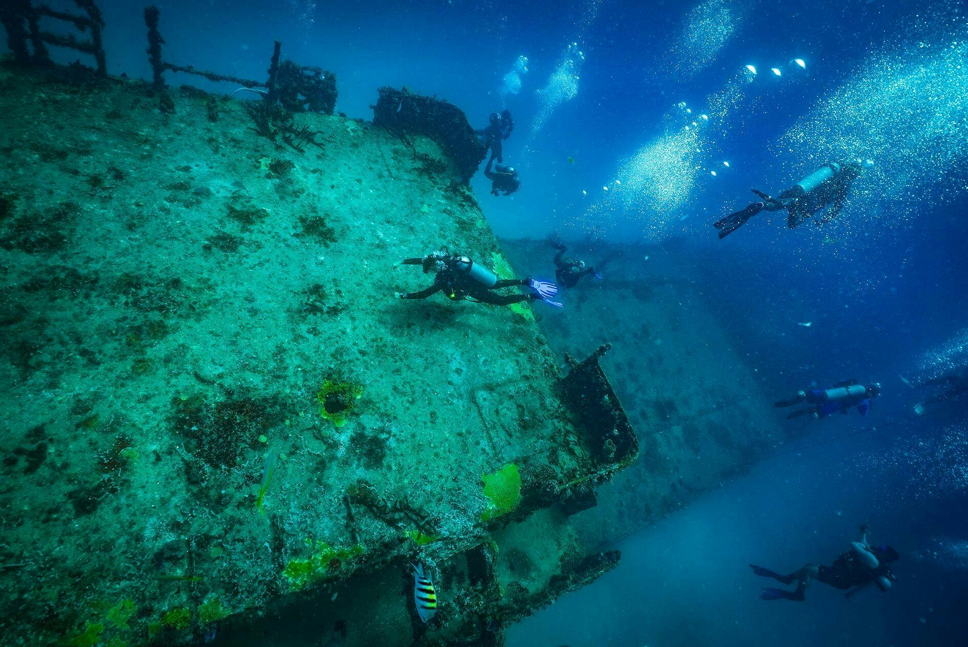 Certified Diving in Cancun with Aquaworld