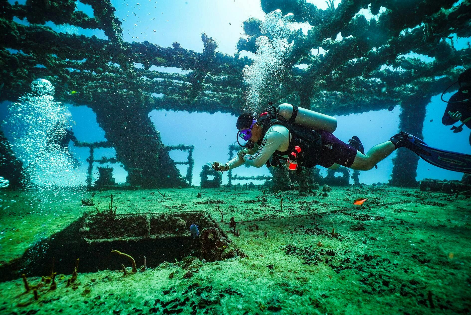 Certified Diving in Cancun with Aquaworld