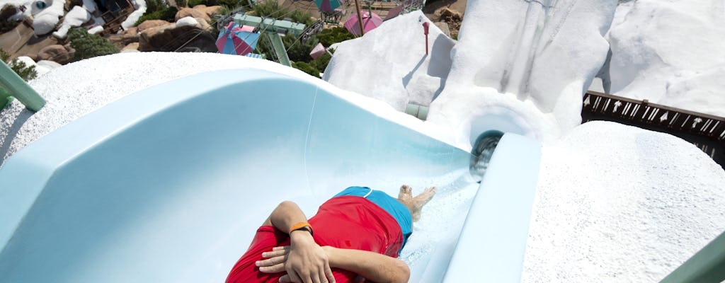 Walt Disney World Resort 2- bis 5-Tages-Ticket mit Wasserpark und Sport Option