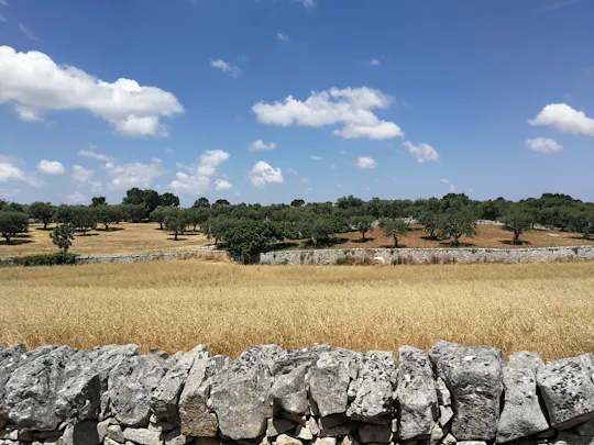 Trekking en droge stenen muur les in de Valle d'Itria