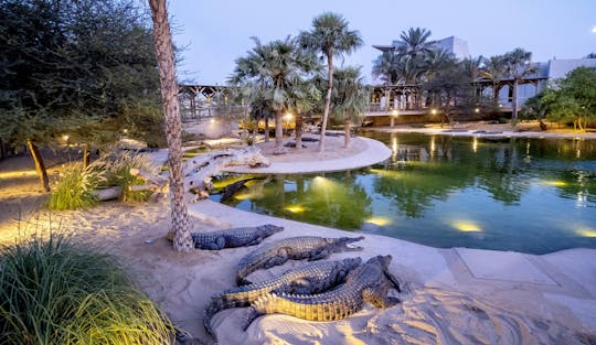 Billet d'entrée au parc aux crocodiles de Dubaï
