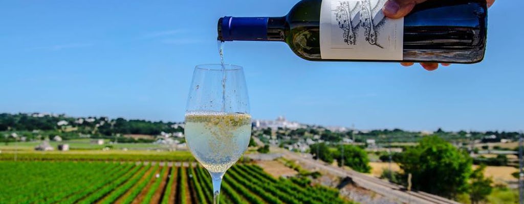 Experiencia de cata de vinos en el Valle de Itria.
