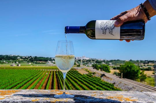 Experiencia de cata de vinos en el Valle de Itria.