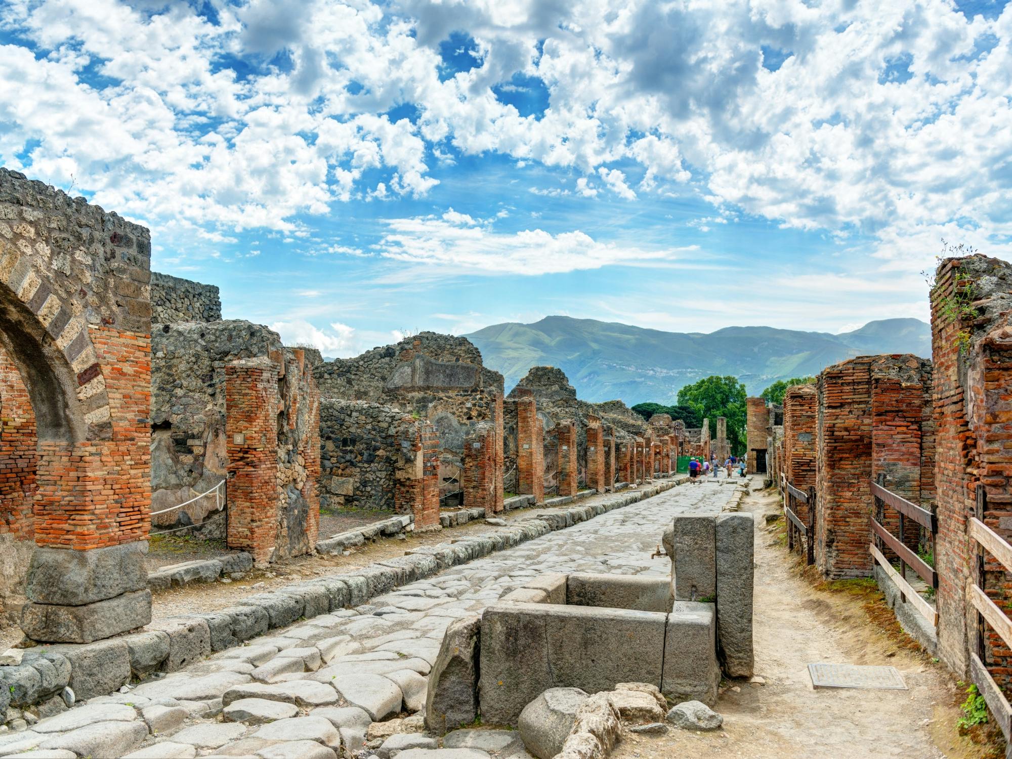 Skip-the-line guided tour of Pompeii ruins with an archaeologist