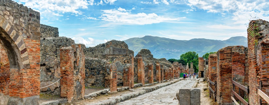 Visita guidata salta fila alle rovine di Pompei con un archeologo