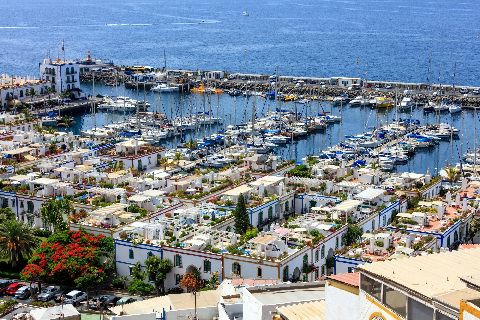 Day Tour to Puerto de Mogan by Boat