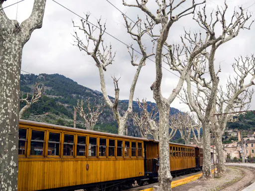 Full day Majorca Tour with Port de Soller and Lluc Monastery