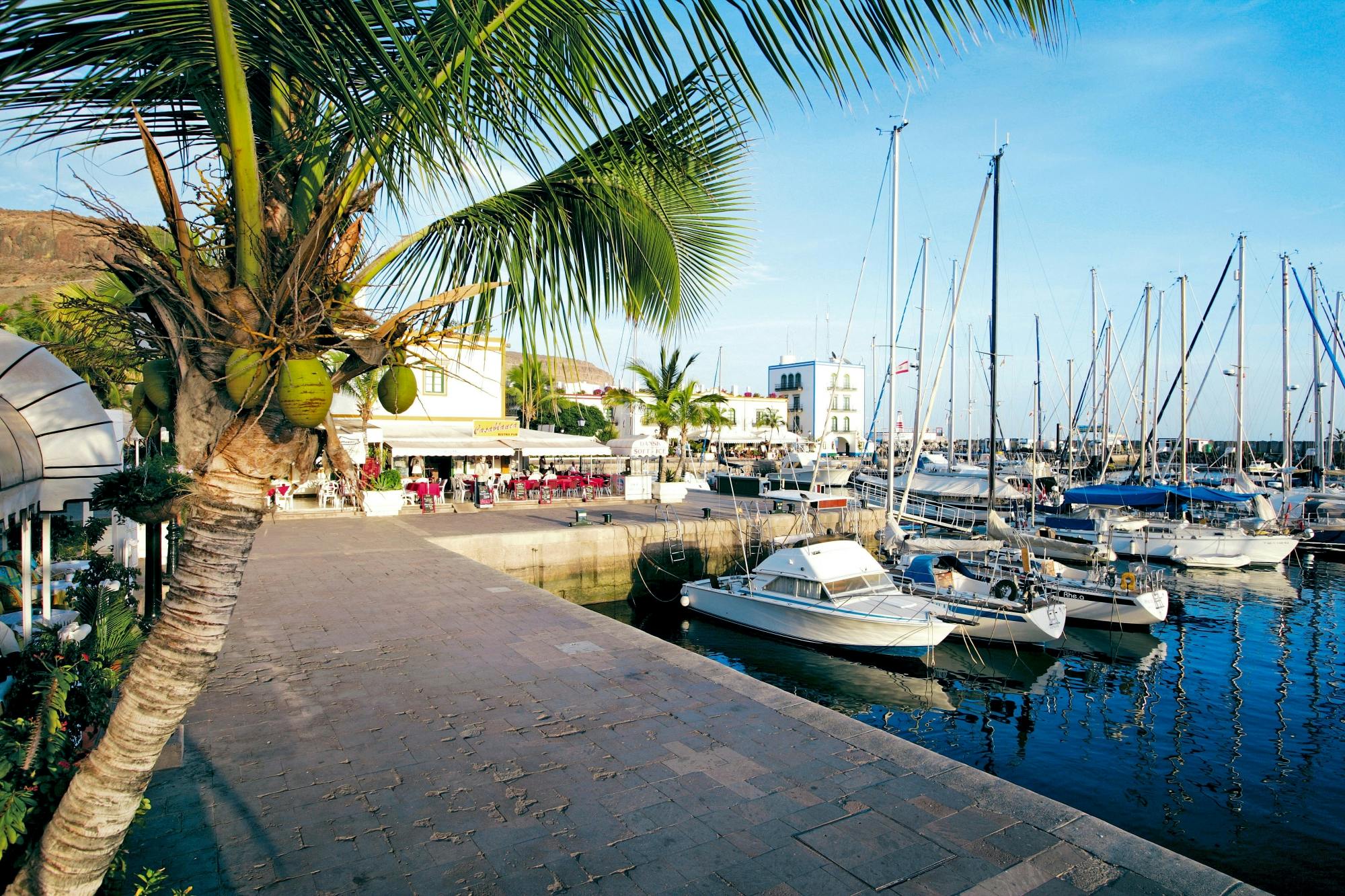 Day Tour to Puerto de Mogan by Boat